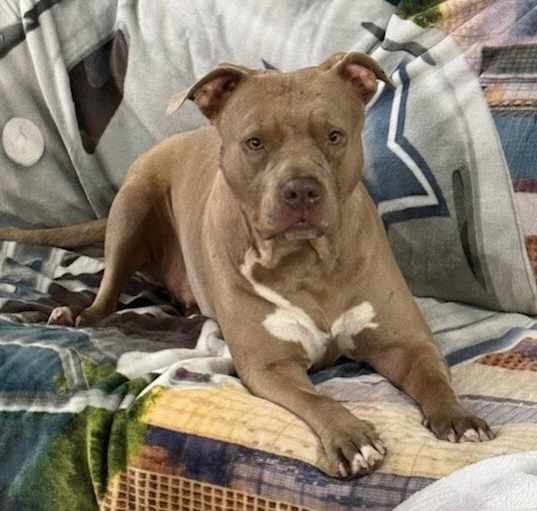 Photo of LOLA LEANNE