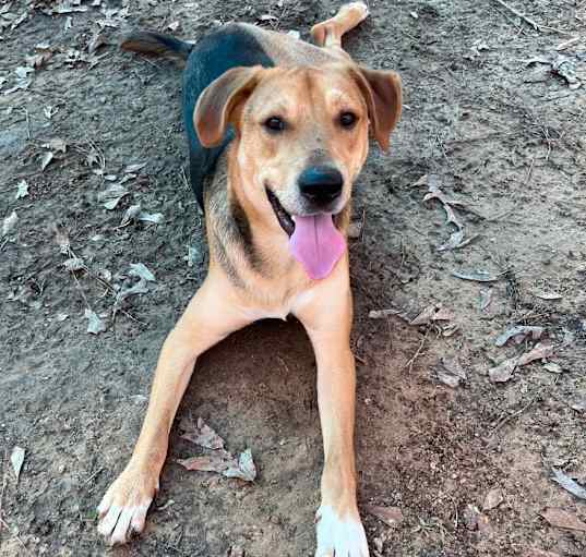 Photo of COBY