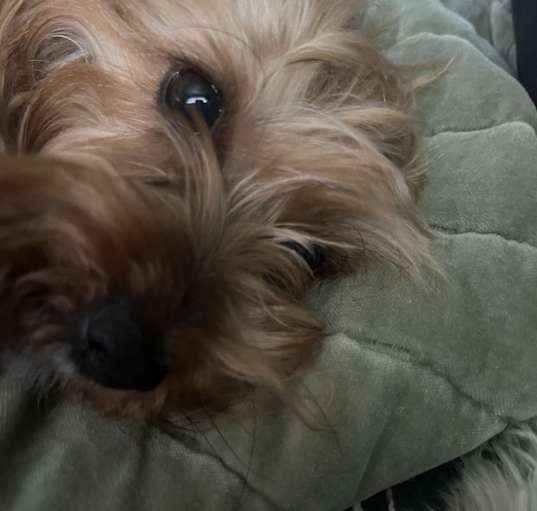 Photo of Juju (Jubei)