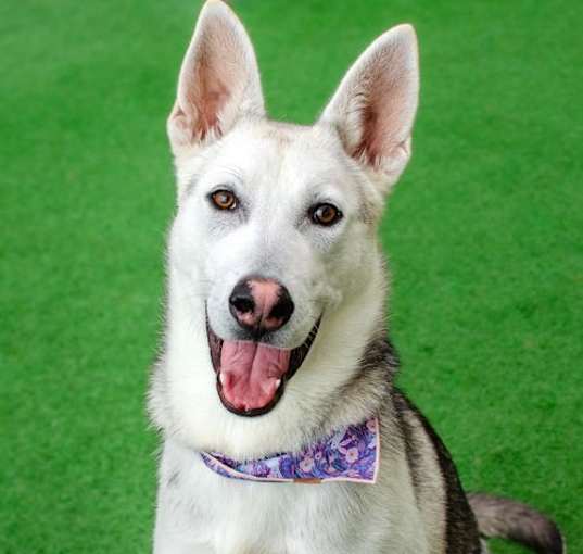 Photo of Ekko