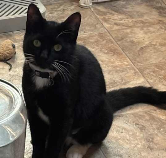 Photo of Ada