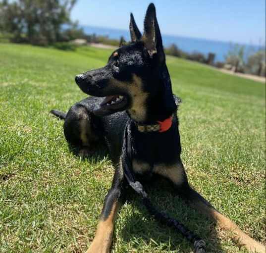 Photo of Maze