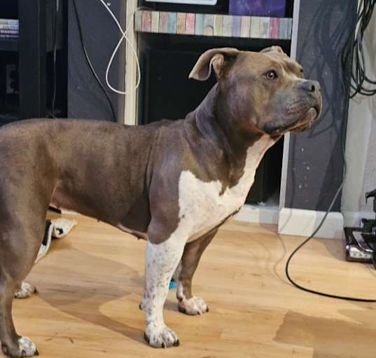 Photo of Leeloo