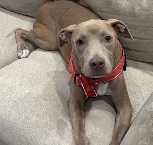 Photo of ARCHER