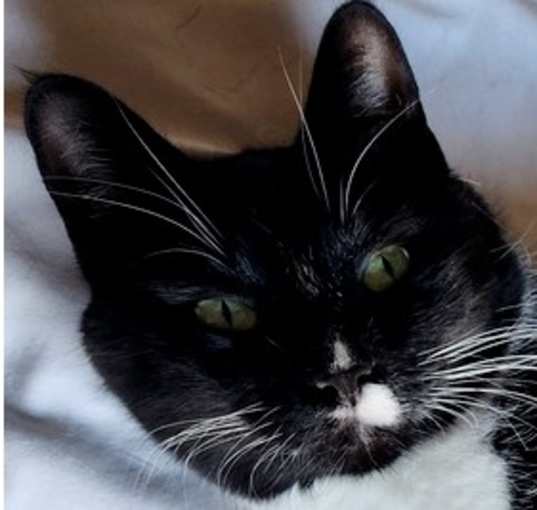 Photo of Carolyn's Sheila aka She-She