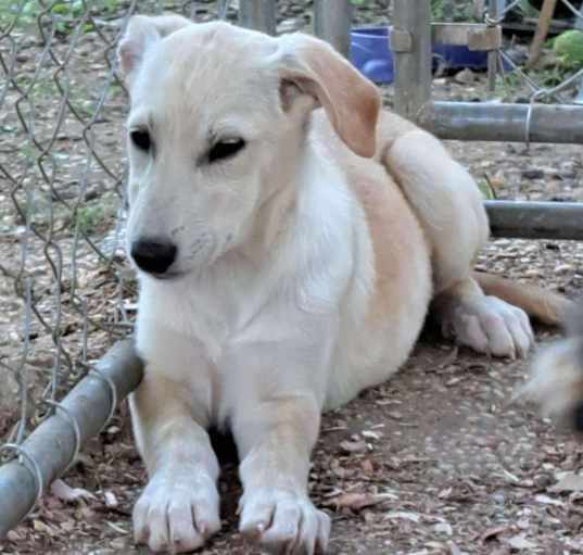 Photo of Lucy