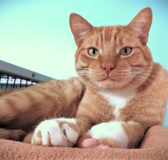 Photo of O'Malley, aka Buddy