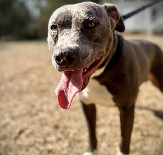 Photo of Thor