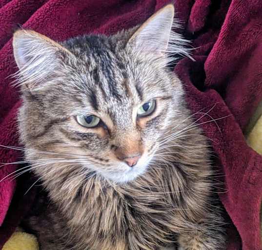 Photo of Nora