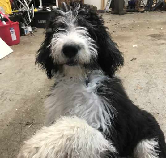 Photo of Kylo