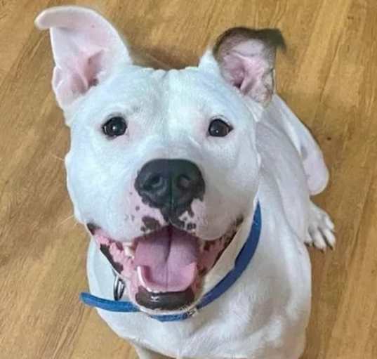 Photo of Happy
