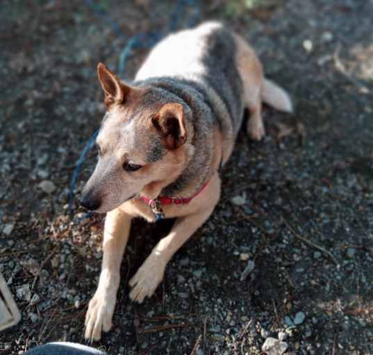 Photo of Wallie