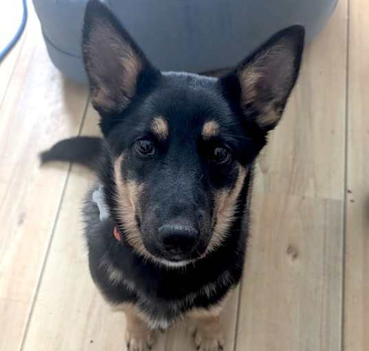 Photo of Hopscotch - Adorable!