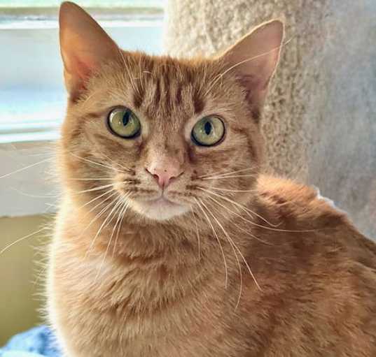 Photo of Cleo