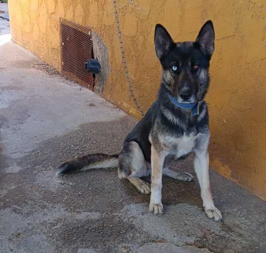 Photo of Suki