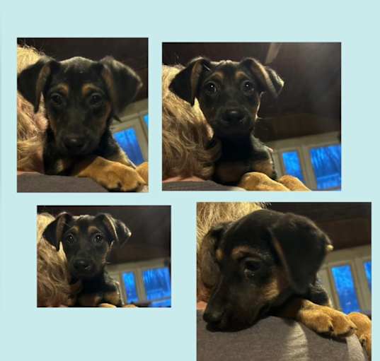 Photo of Winnie