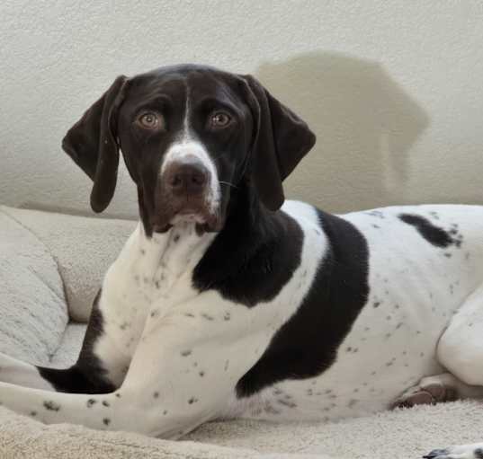 Photo of Coco