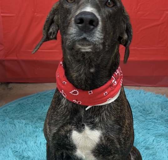 Photo of Duke
