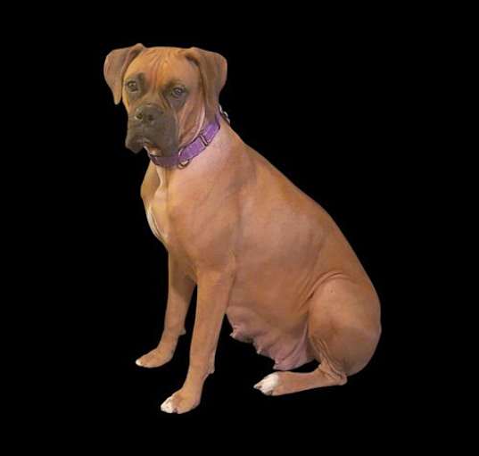 Photo of Mikki