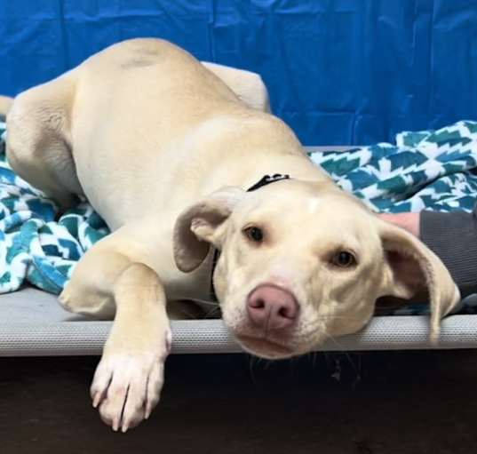 Photo of Winnie