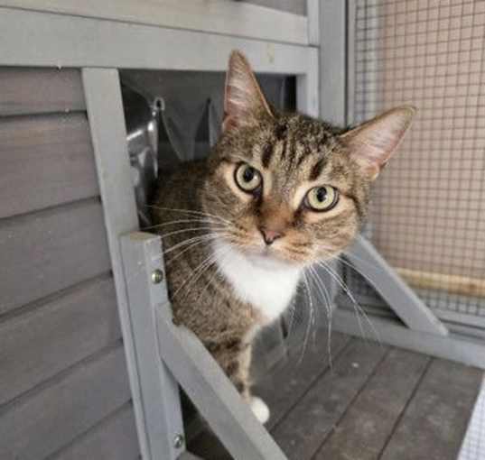 Photo of Tom