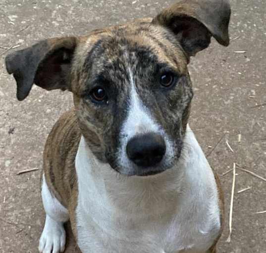 Photo of Athena