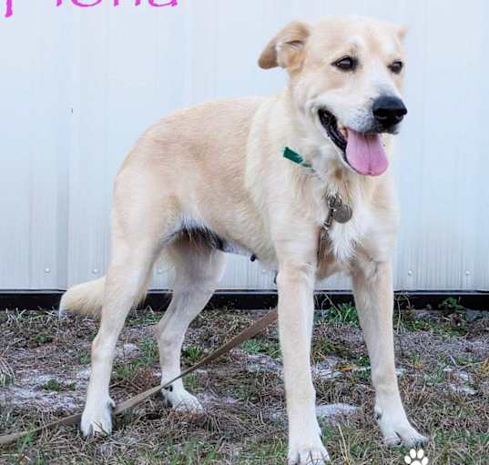 Photo of Fiona