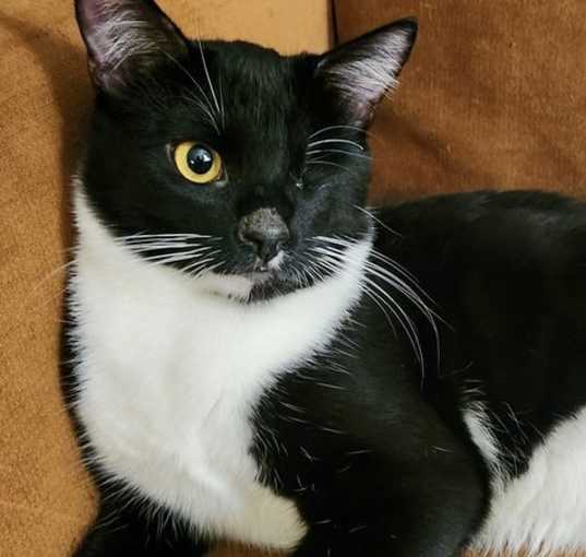 Photo of Winston