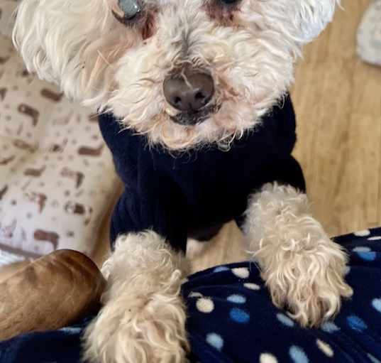 Photo of Betty