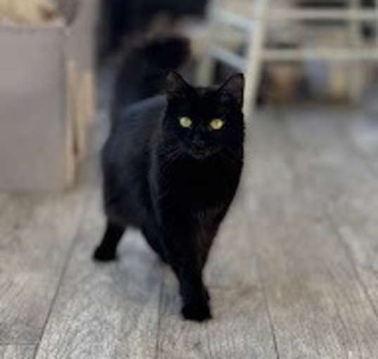 Photo of Elvira