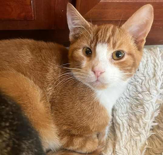Photo of Ralph