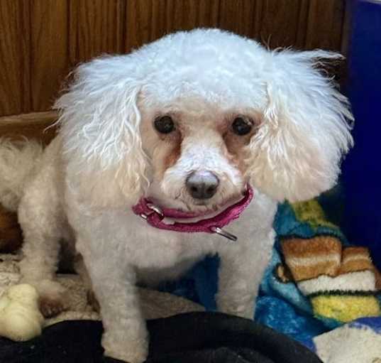 Photo of Libby