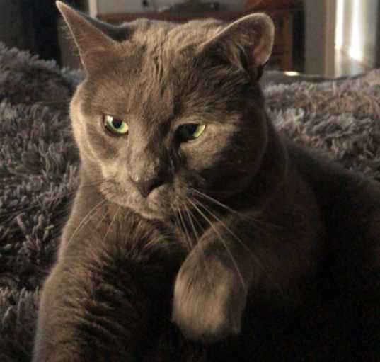 Photo of Nicklaus (Klaus)