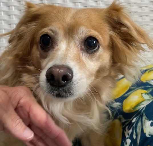 Photo of Lucy