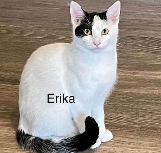 Photo of ERIKA