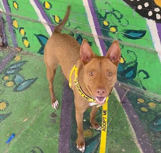 Photo of Nora
