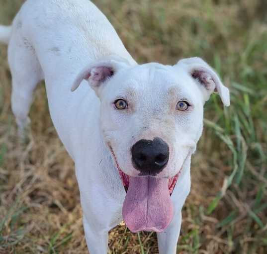 Photo of Axel