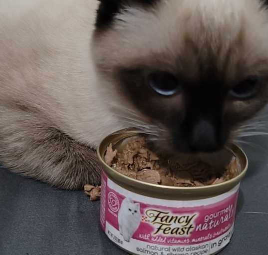 Photo of Cream