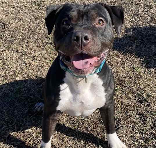 Photo of 2502-0337 Bogan (Off Site Foster)
