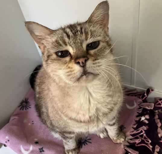Photo of Kiki