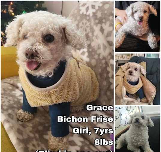 Photo of Grace from Korea