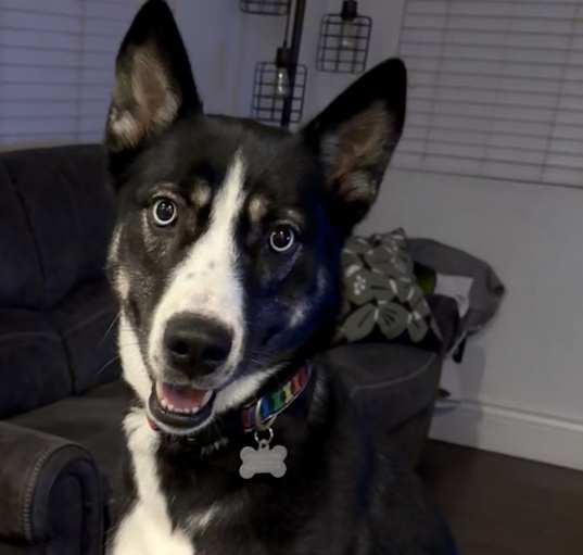 Photo of Roux
