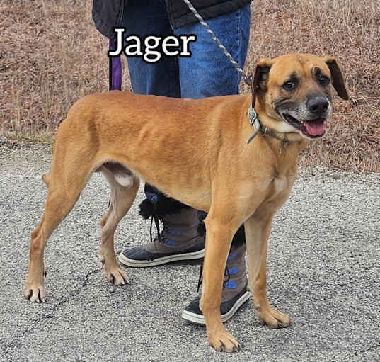 Photo of Jager