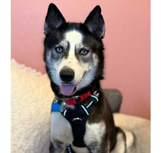 Photo of Edgar