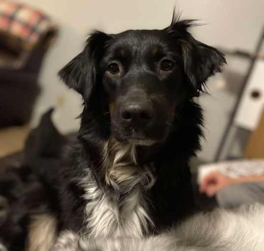 Photo of Matilda