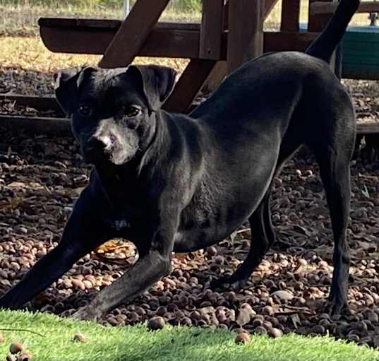 Photo of Missy