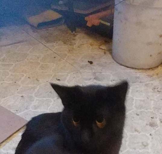 Photo of Max