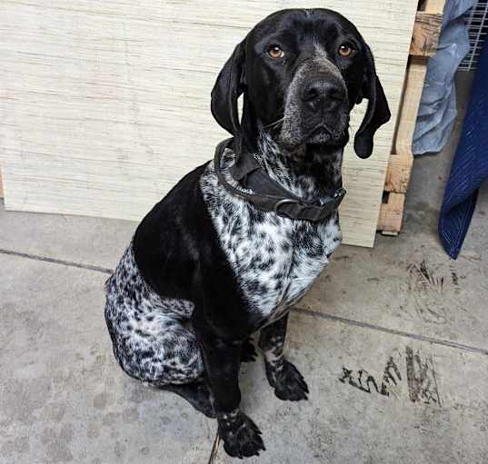 Photo of Charlie