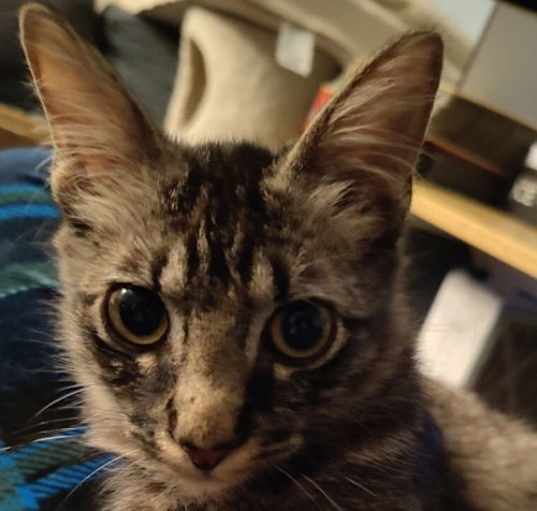 Photo of Mr.  Peepers