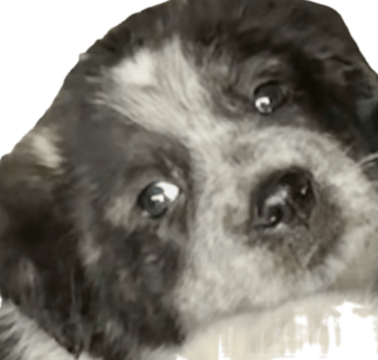 Photo of Gayla